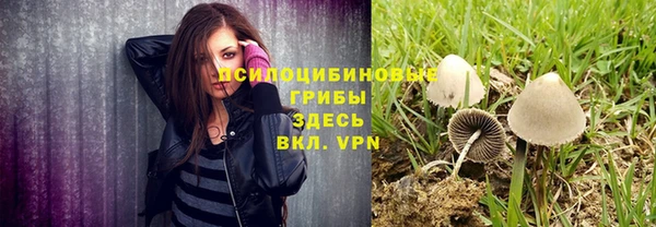 ешки Волосово