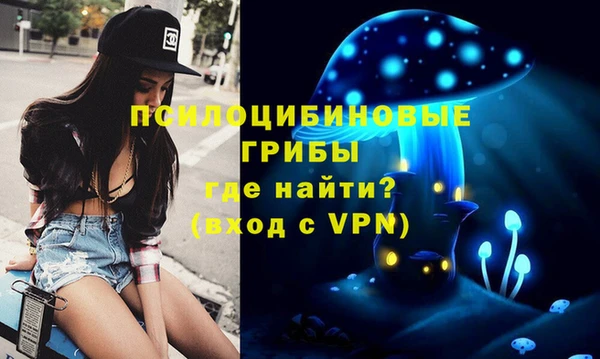 ешки Волосово